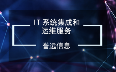 IT 系统集成和运维服务